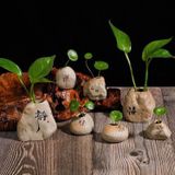  Bình Hoa Gốm Mini 