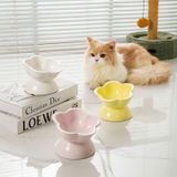  Chén Sứ Thức Ăn Cho Thú Cưng 