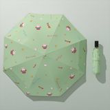  Ô Gấp Gọn, Dù Che Nắng, Che Mưa 