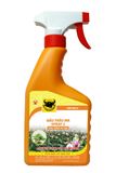  Đầu Trâu MK SPRAY 2 - Kích ra hoa 