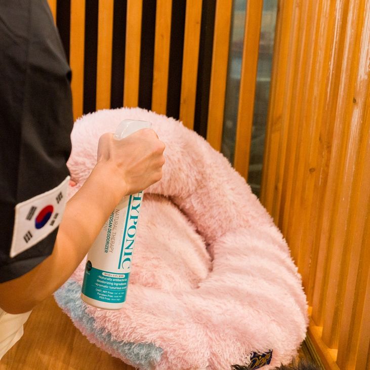  Xịt khử mùi, khử khuẩn phòng, mùi nhà HYPONIC hương biển 