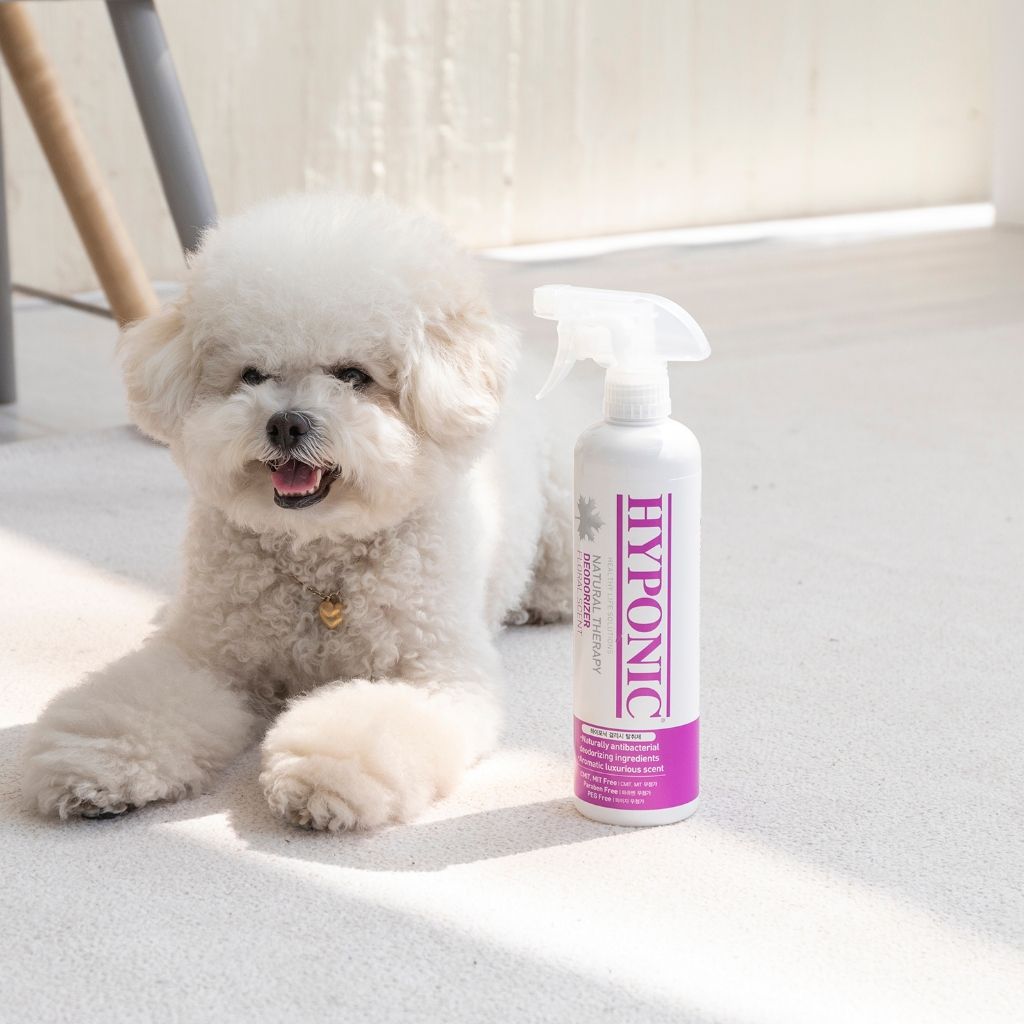  Dung dịch xịt khử mùi & khử khuẩn HYPONIC Chitosan cho thú cưng, hương hoa 