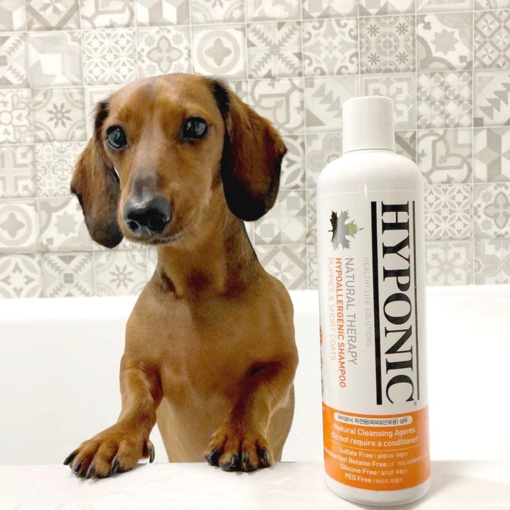 Sữa tắm cho chó cao cấp HYPONIC Hypoallergenic, dành cho chó con & chó lông ngắn 