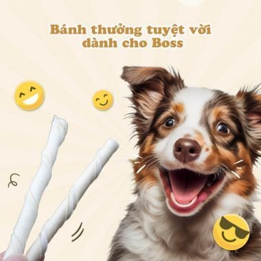  Que da bò tự nhiên 10 cây 