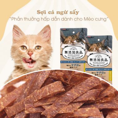  Sợi cá ngừ sấy 20g 