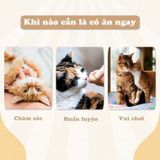  Sợi cá ngừ sấy 20g 