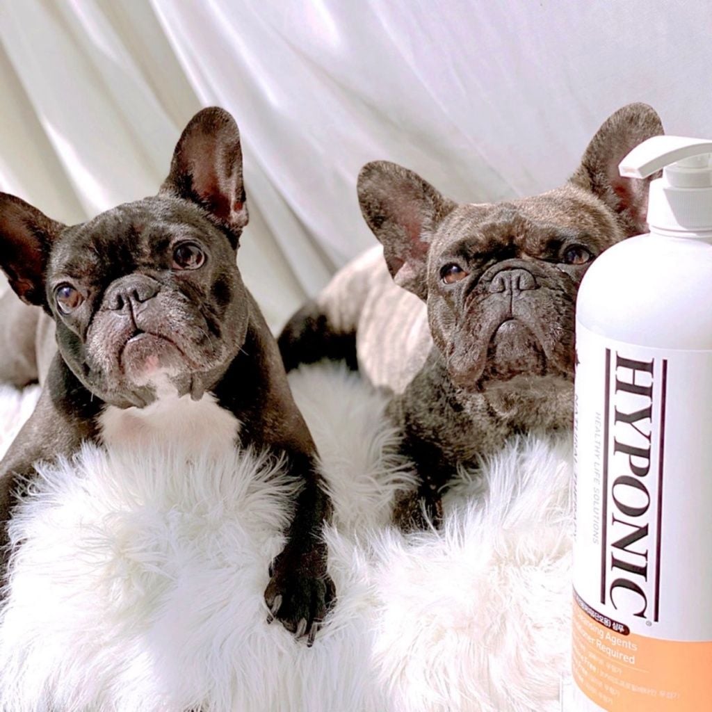  Sữa tắm cho chó cao cấp HYPONIC Hypoallergenic, dành cho chó con & chó lông ngắn 