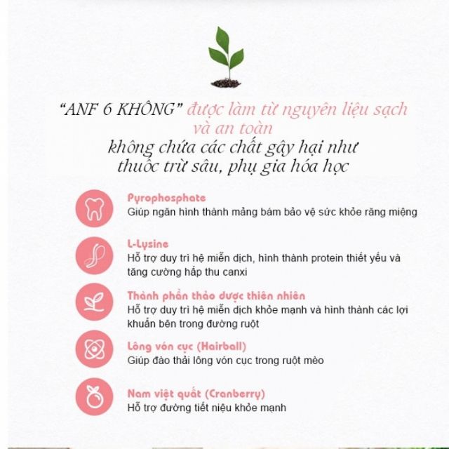  THỨC ĂN HẠT HỮU CƠ CHO MÈO CON ANF 6 FREE INDOOR KITTEN 