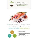  Thức ăn hữu cơ cho chó ANF 6Free 