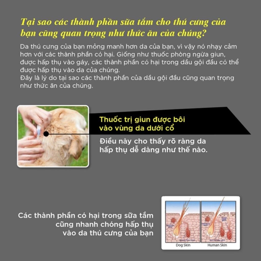  Sữa tắm cho chó cao cấp HYPONIC Hypoallergenic, dưỡng da và làm mượt lông cho mọi loại chó 