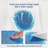  Tấm lót vệ sinh dành cho thú cưng Honey Care 