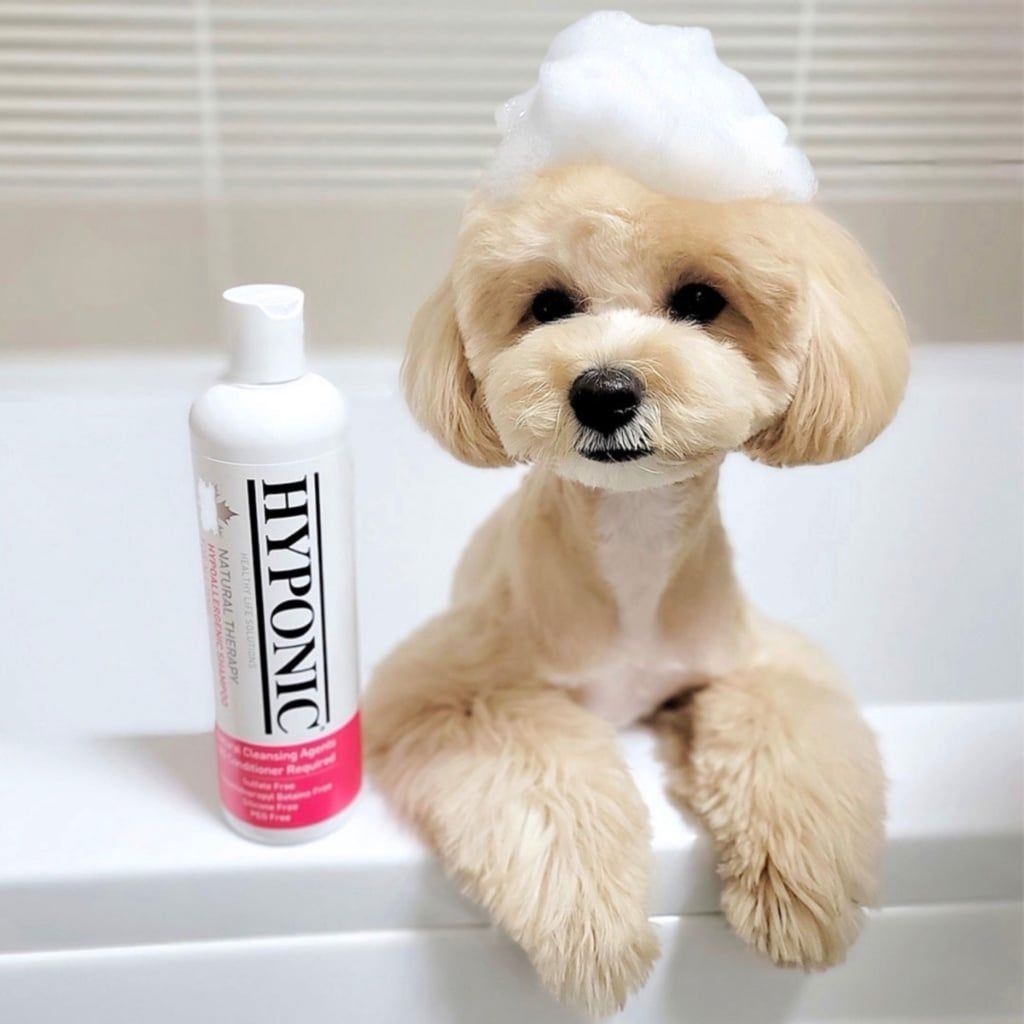  Sữa tắm cho chó cao cấp HYPONIC Hypoallergenic, dưỡng da và làm mượt lông cho mọi loại chó 