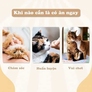  Sợi cá bò nướng 20g 