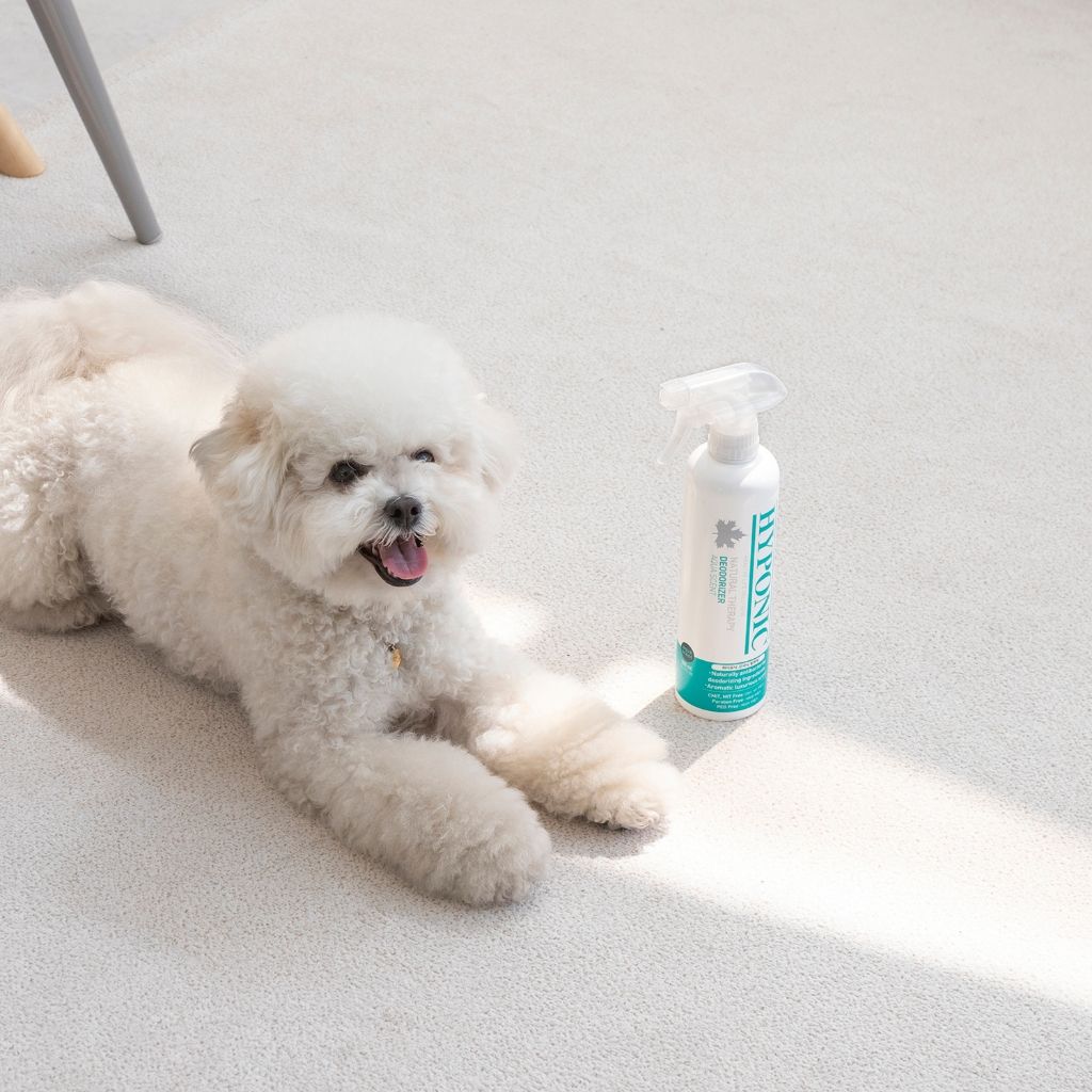  Xịt khử mùi, khử khuẩn phòng, mùi nhà HYPONIC hương biển 