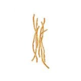  Sợi cá chai nướng 20g 