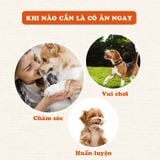  Thanh gà sấy dẻo 80gr 