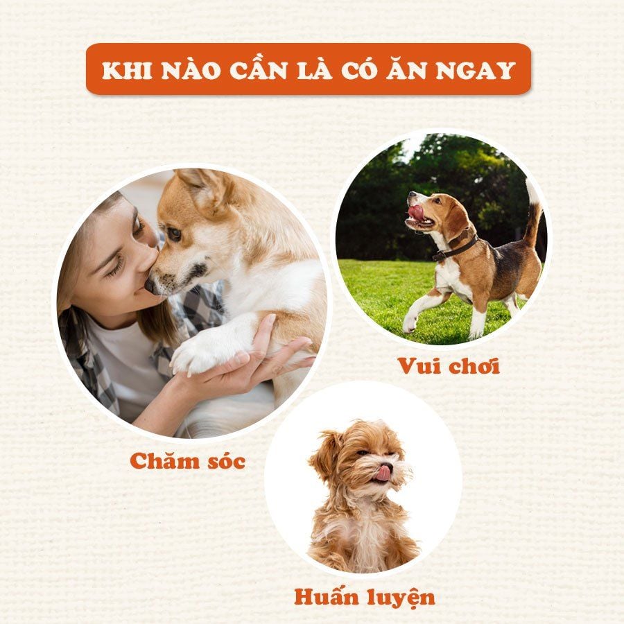  Thanh gà sấy dẻo 80gr 