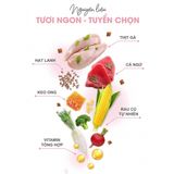  THỨC ĂN HẠT CHO MÈO NHỎ CATSRANG KITTEN 