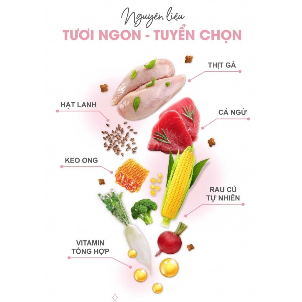  THỨC ĂN HẠT CHO MÈO NHỎ CATSRANG KITTEN 