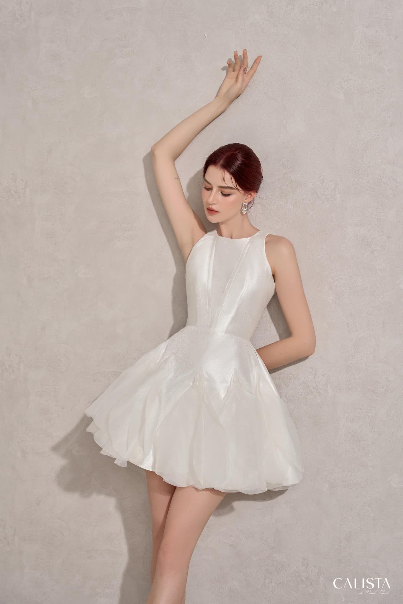 Swan Dress 