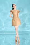  Hermosa Dress 
