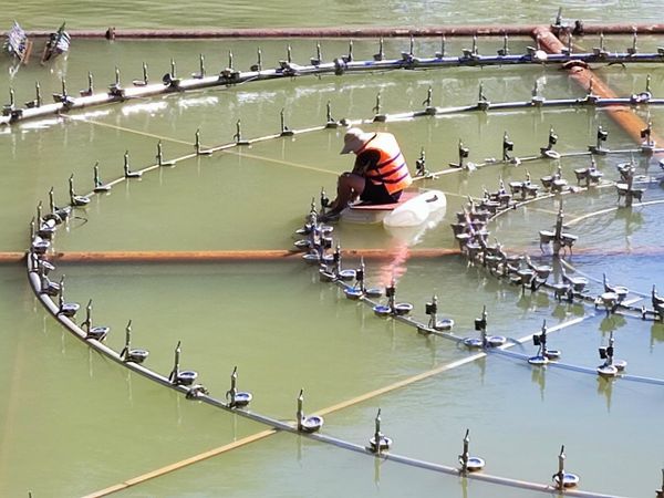  Nhạc nước - Hồ Xuân Hương TP. Đà Lạt 