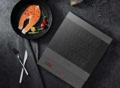 Bếp từ đơn Junger CEJ-106-I