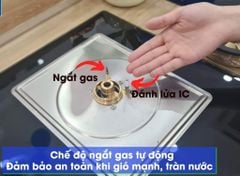 Bếp gas đôi 2 vùng nấu Eurosun EU-GA291D