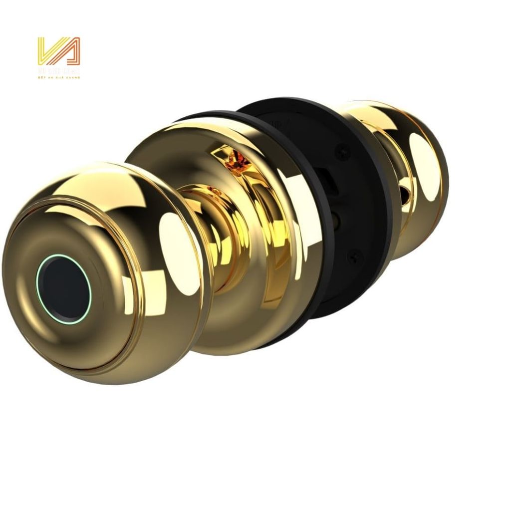 Khóa Vân Tay Dùng Cho Cửa Phòng Demax Màu Vàng SL106YL APP BLUETOOTH