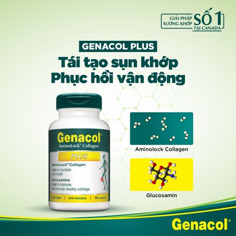  GENACOL PLUS 