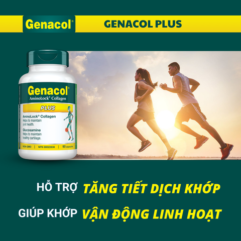  GENACOL PLUS 