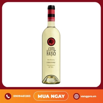 VANG TRẮNG TÂY BAN NHA COTO DE HAYAS BLANCO CHARDONNAY