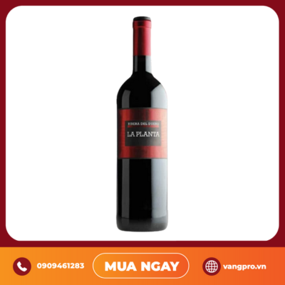 VANG ĐỎ TÂY BAN NHA LA PLANTA RIBERA DEL DUERO ARZUAGA
