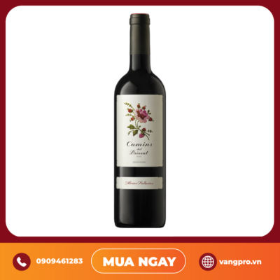 VANG ĐỎ TÂY BAN NHA CAMINS DEL PRIORAT ALVARO PALACIOS