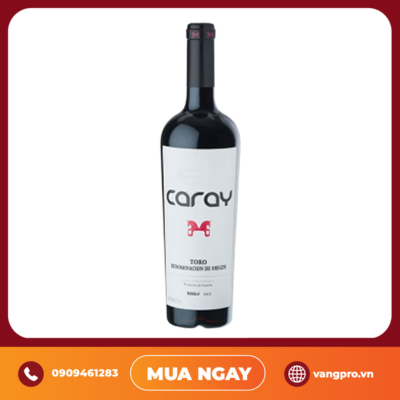 VANG ĐỎ TÂY BAN NHA CARAY TINTA DE TORO EL SOLEADO 6 THÁNG