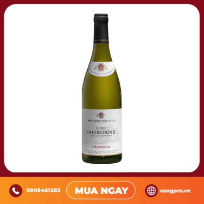 VANG TRẮNG PHÁP BOUCHARD PERE & FILS CHARDONNAY BOURGOGNE