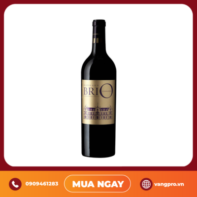 VANG ĐỎ PHÁP BRIO DE CANTENAC BROWN 2EME VIN 2016