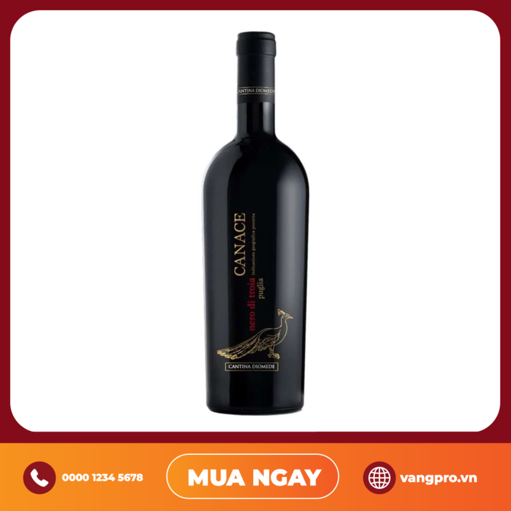 VANG ĐỎ Ý CANACE NERO DI TROIA PUGLIA IGP
