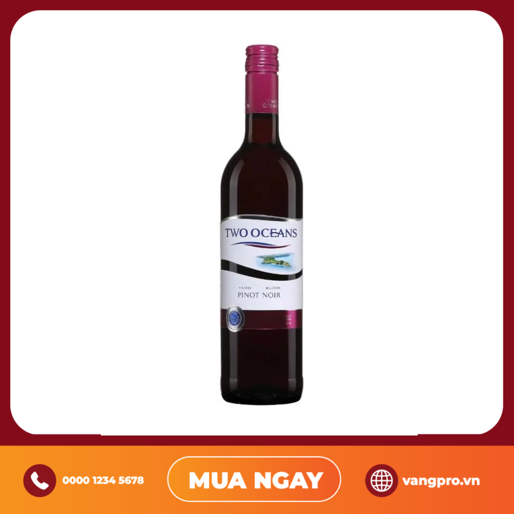 VANG ĐỎ NAM PHI TWO OCEANS PINOT NOIR