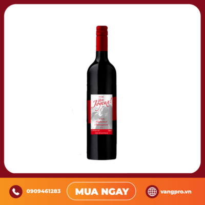 VANG ĐỎ ÚC ÊTRE JOYEUX VICTORIA CABERNET SAUVIGNON 750ML