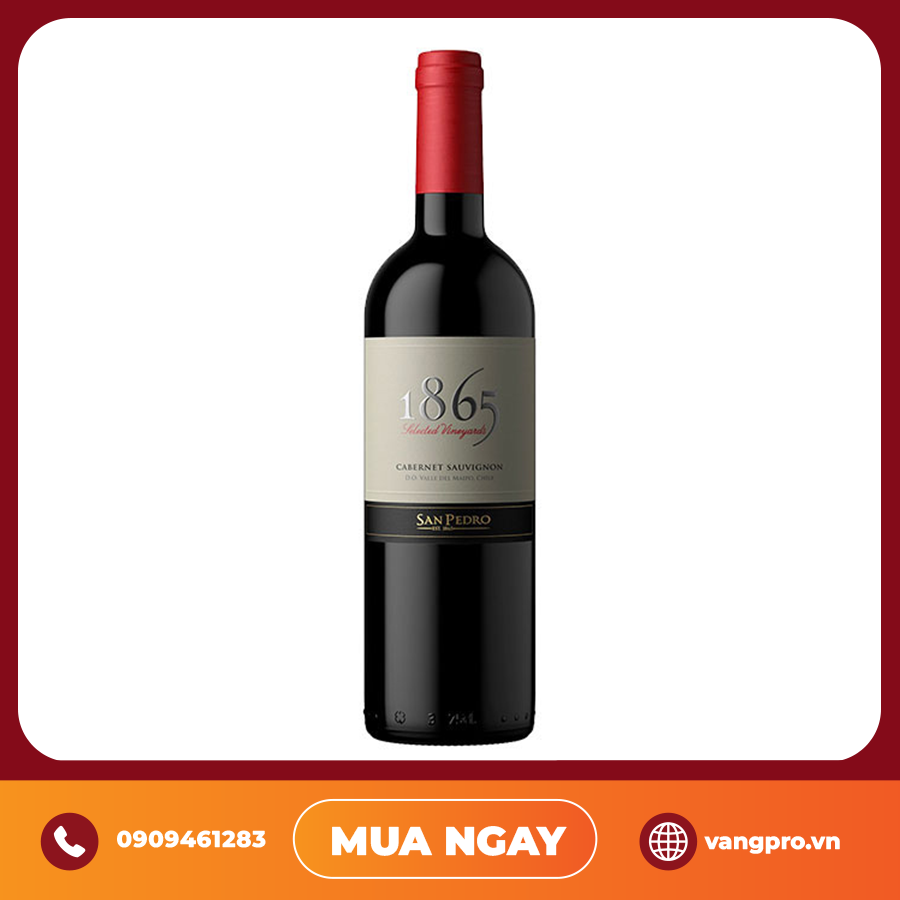 VANG ĐỎ CHILE 1865 SINGLE VINEYARD CABERNET SAUVIGNON