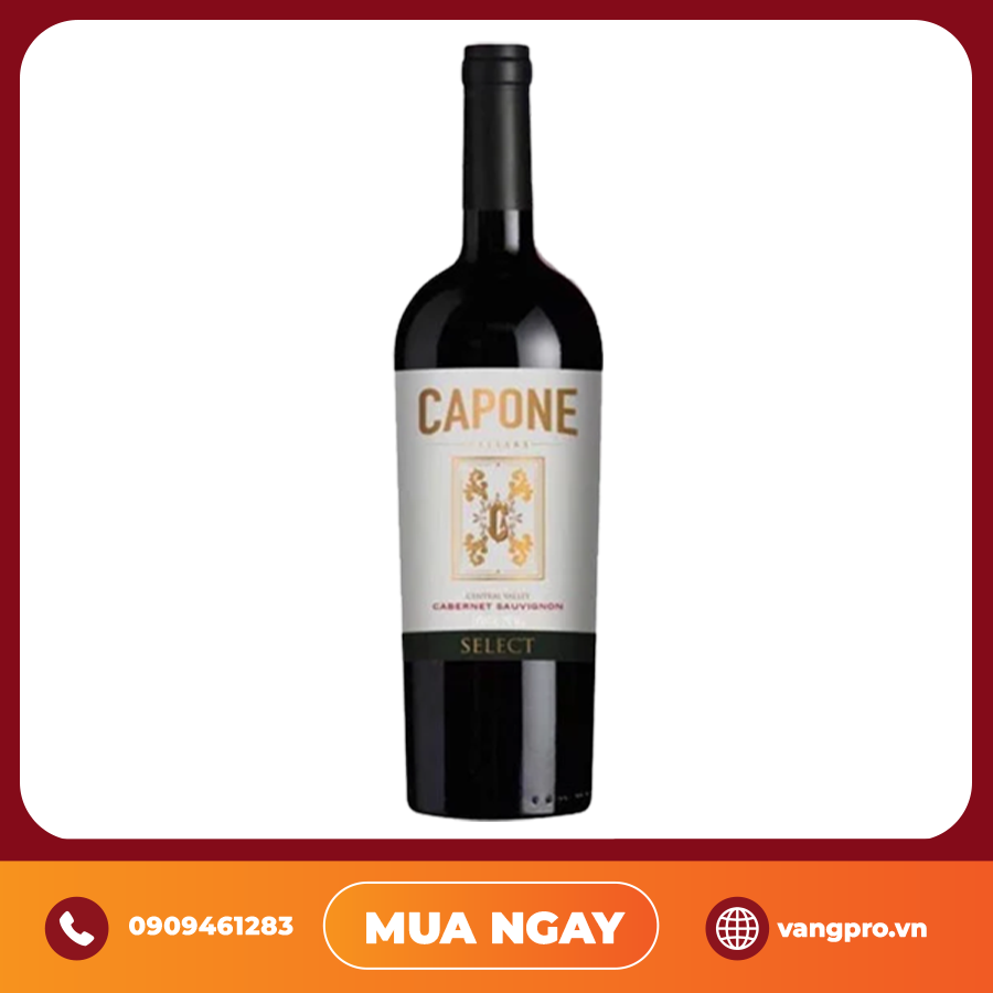 VANG ĐỎ CHILE CAPONE SELECTED CABERNET SAUVIGNON