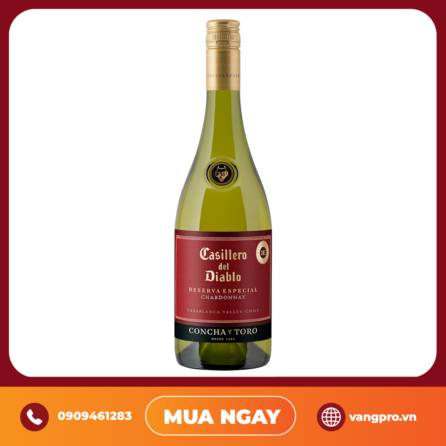 VANG ĐỎ CHILE CASILLERO DEL DIABLO RESERVA ESPECIAL SAUVIGNON BLANC