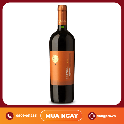 VANG ĐỎ CHILE LUIS FELIPE EDWARDS LFE900 MALBEC