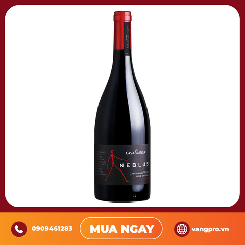 VANG ĐỎ CHILE NEBLUS CASABLANCA ICON WINE