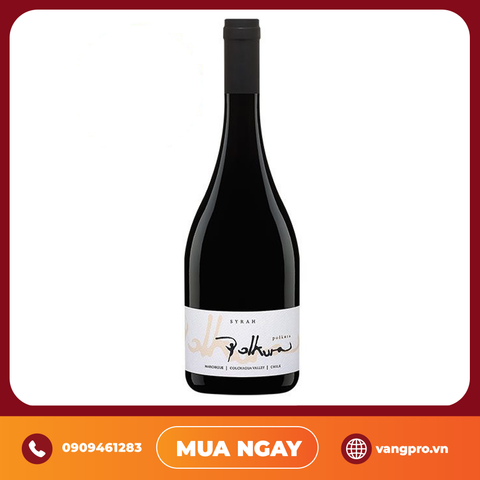 VANG ĐỎ CHILE POLKURA SHIRAZ