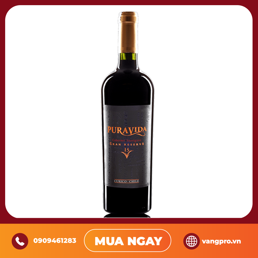 VANG ĐỎ CHILE PURAVIDA GRAN RESERVA CABERNET SAUVIGNON