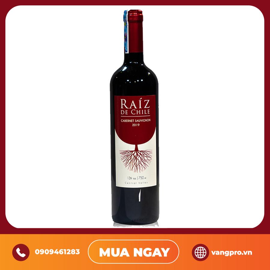 VANG ĐỎ CHILE RAIZ CABERNET SAUVIGNON