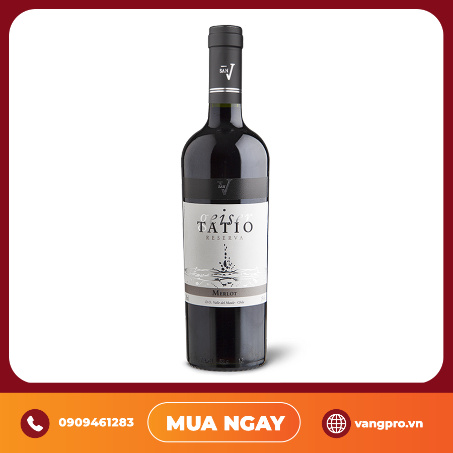 VANG ĐỎ CHILE SAN V GEISER TATIO MERLOT RESERVA
