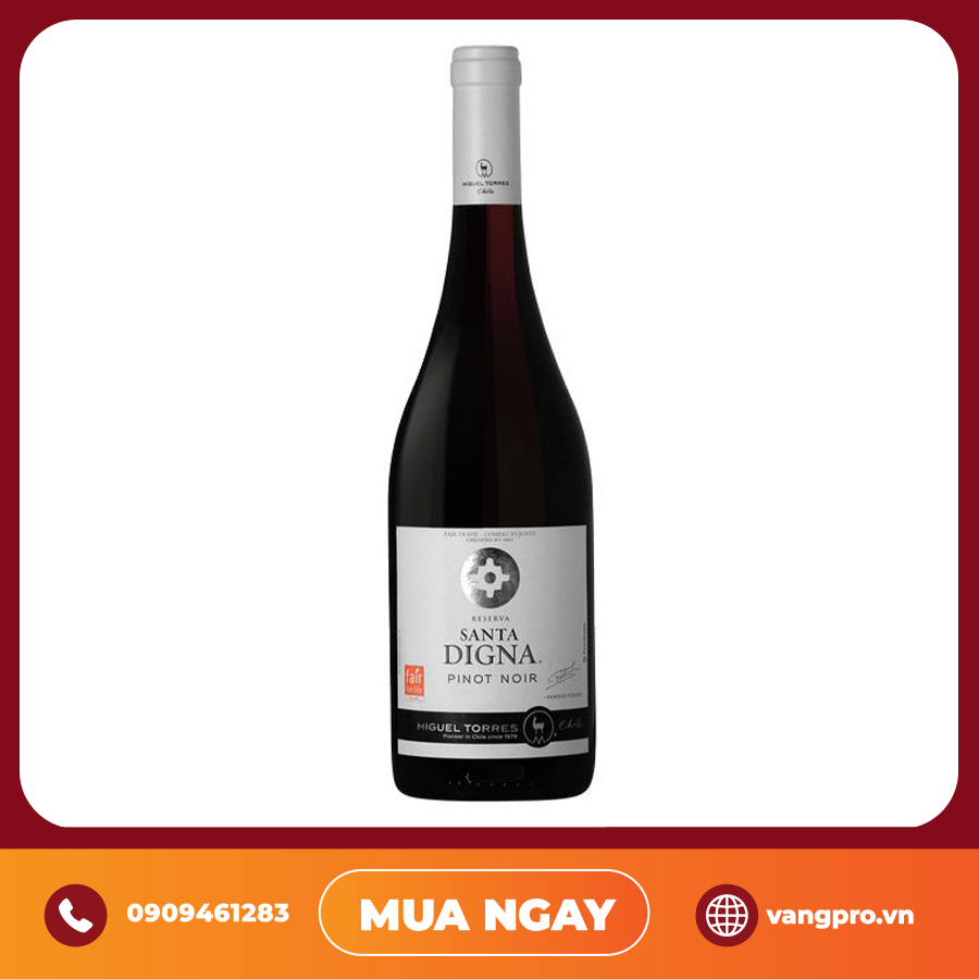 VANG ĐỎ CHILE SANTA DIGNA PINOT NOIR